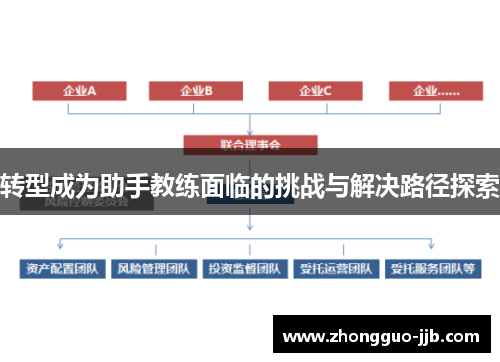 转型成为助手教练面临的挑战与解决路径探索