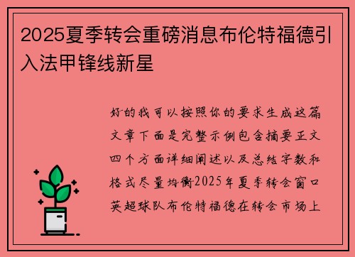2025夏季转会重磅消息布伦特福德引入法甲锋线新星